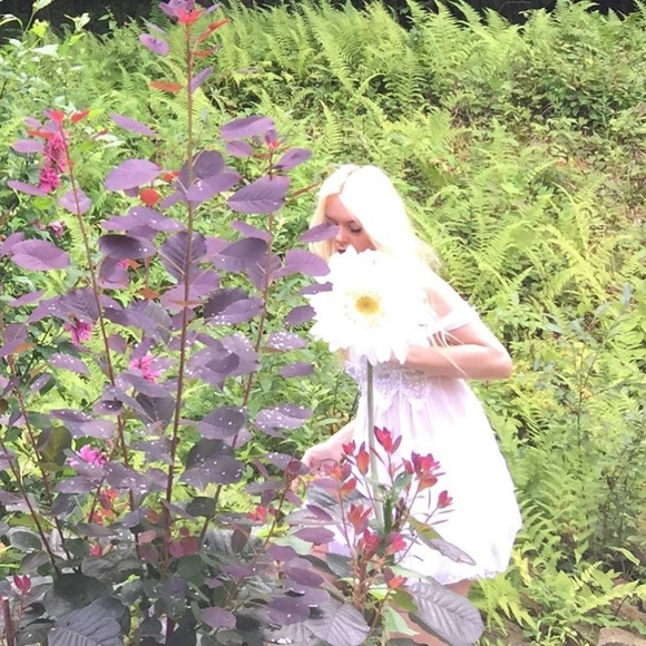 Meet your Posher, Tammy - Picture 1 of 1